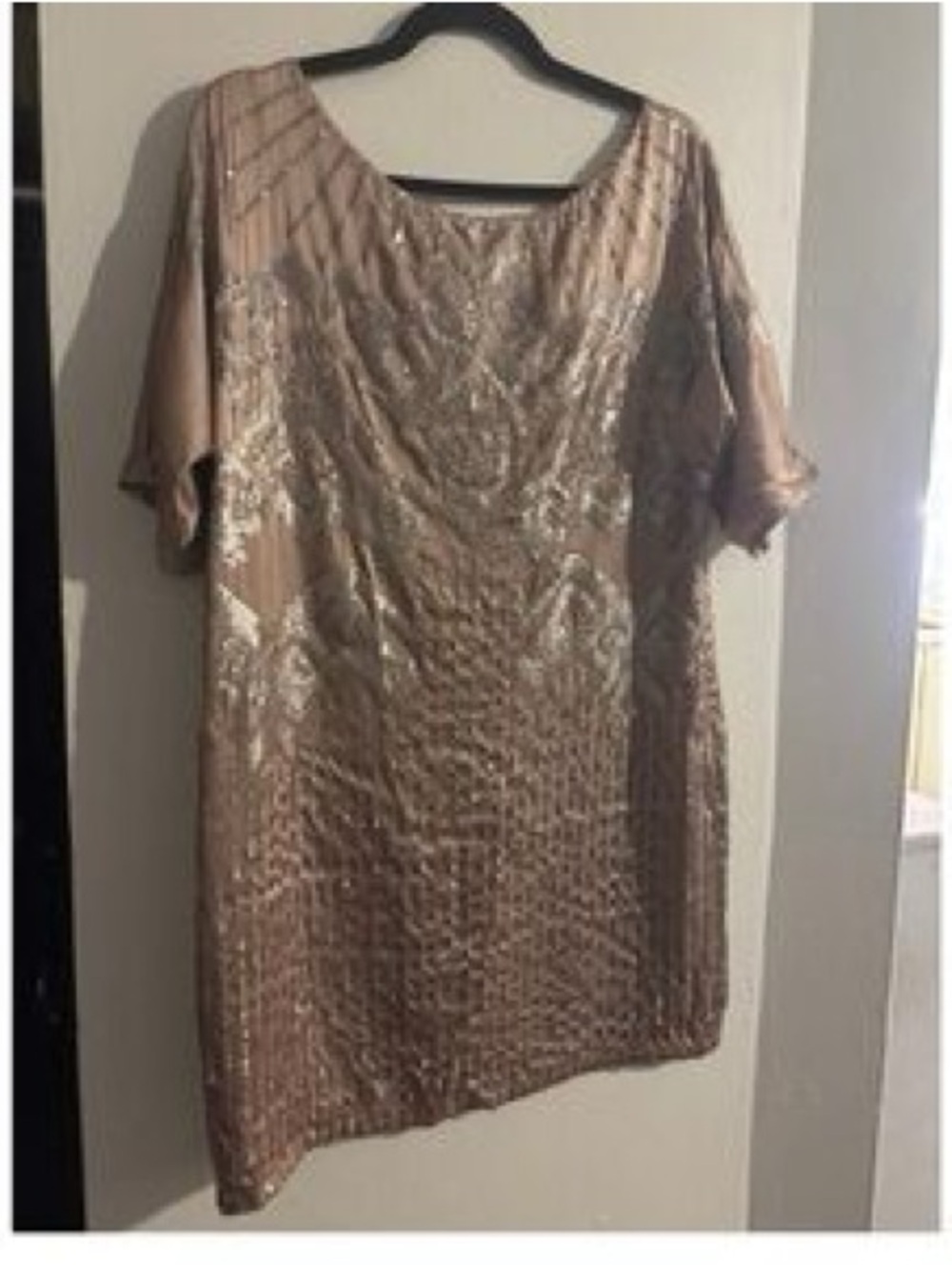 Bordeaux 100% Silk Taupe Sequin Twenties Inspired Tunic  Dress size small NWTS
